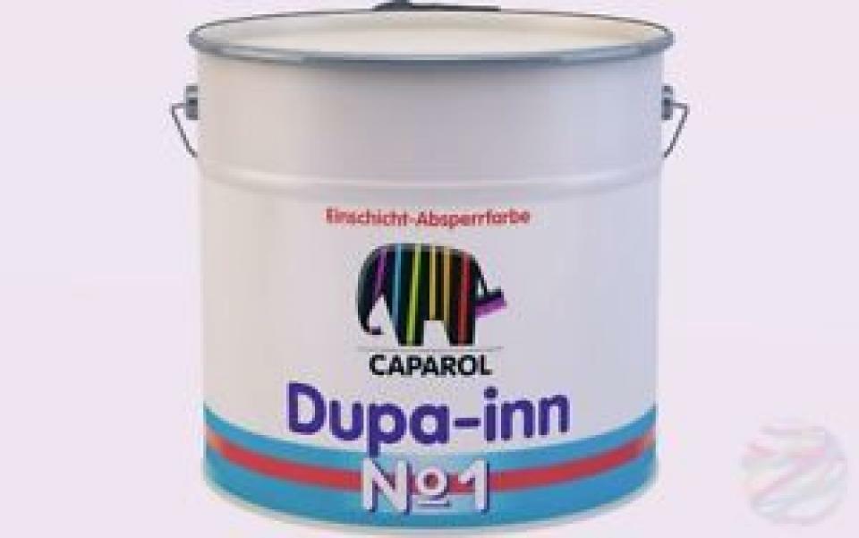 DUPA INN 2001 BIANCO 5 LT COD.737